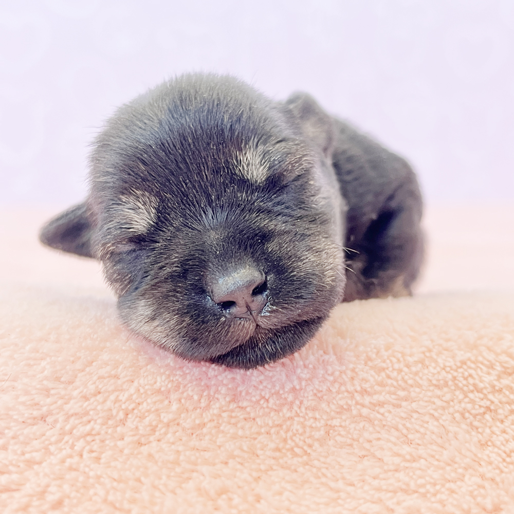 今日から２月！